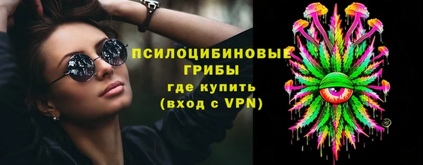 сатива Алзамай