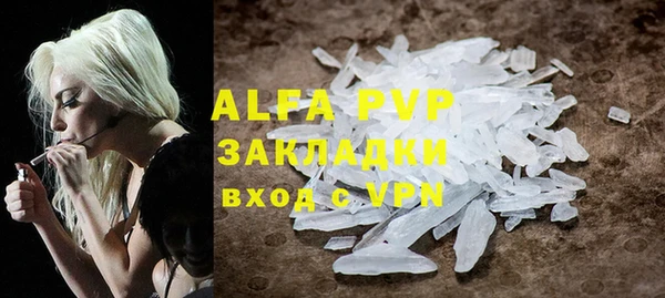 сатива Алзамай
