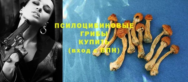не бодяженный Алексин