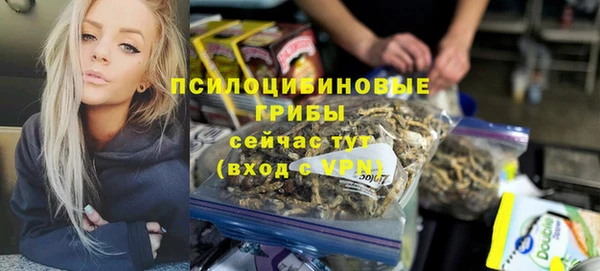 сатива Алзамай