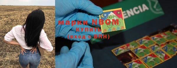 сатива Алзамай